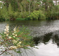 Wallingat National Park - Stayed