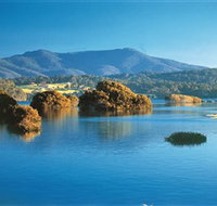 Wagonga Picnic Area - Stayed
