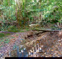 Ulidarra National Park - Stayed