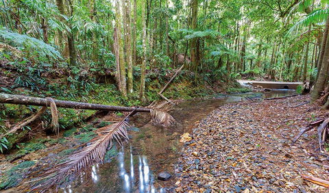 Ulidarra National Park - Stayed 0