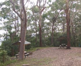 Orara East State Forest - Stayed 2