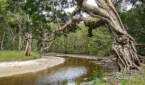 Saltwater National Park - Stayed 0