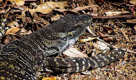 Saltwater National Park - Stayed 2