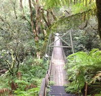 Bemm River Scenic Reserve - Stayed