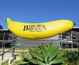 The Big Banana - Stayed 0