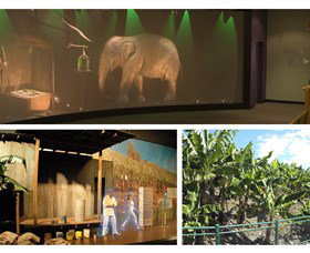 The Big Banana - Stayed 2