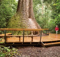 Burrawan State Forest - Stayed