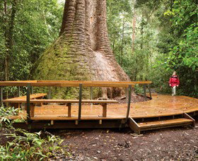 Burrawan State Forest - Stayed 0