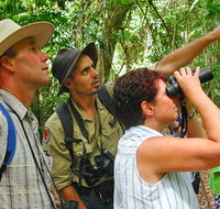 Falls walking track - Stayed