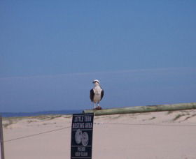 Manning Entrance State Park - Stayed 1