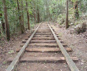 Kerewong State Forest - Stayed 1