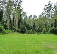 Kerewong State Forest - Stayed