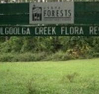 Woolgoolga Creek Flora Reserve - Stayed