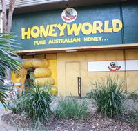 Superbee Honeyworld Gold Coast - Stayed