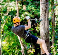 TreeTop Challenge Currumbin - Stayed