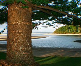 Moonee Beach - Stayed 1