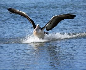 John Barton Photography - Stayed 1