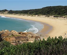 Cape Conran Nature Trail - Stayed 1