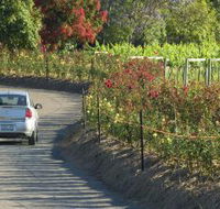 Cassegrain Wines - Stayed