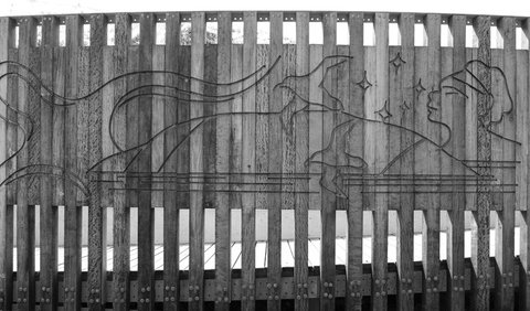 Muttonbird Island Outdoor Learning Space - Stayed 1