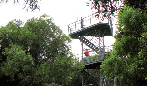 Cape Hawke Lookout - Stayed 0