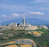 Montague Island Nature Reserve - Stayed