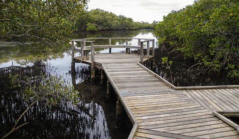 Walk On Water Walking Track - Stayed 1