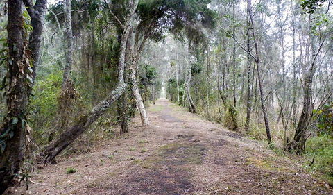 Walk On Water Walking Track - Stayed 2