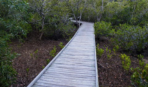Walk On Water Walking Track - Stayed 3