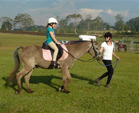 Port Macquarie Horse Riding Centre - Stayed 0