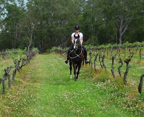 Port Macquarie Horse Riding Centre - Stayed 1