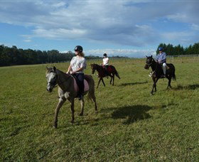 Port Macquarie Horse Riding Centre - Stayed 5