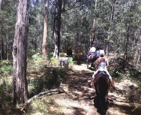 Port Macquarie Horse Riding Centre - Stayed 4