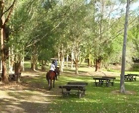 Port Macquarie Horse Riding Centre - Stayed 6