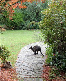 Narek Galleries - Stayed 2