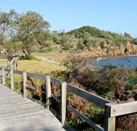 Mimosa Rocks walking track - Stayed