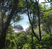 Rainforest walking track