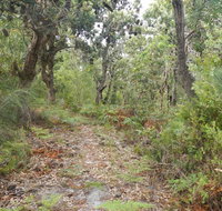 Kinchela Trig Lookout walk - Stayed