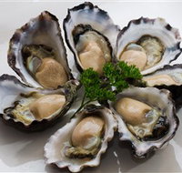 Tathra Oysters - Stayed