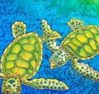 Sea Silks Gallery - Stayed