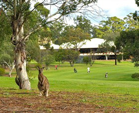 Pambula Merimbula Golf Club - Stays Accommodation 0
