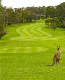 Pambula Merimbula Golf Club - Stays Accommodation 2
