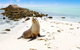 Abrolhos Islands - thumb 2