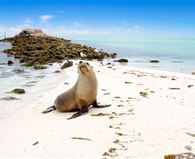 Abrolhos Islands - Stayed 2