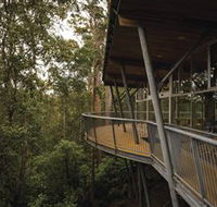 Tarkine Forest Adventures - Dismal Swamp - Stayed