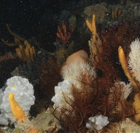 Point Hicks Marine National Park - Stays Accommodation