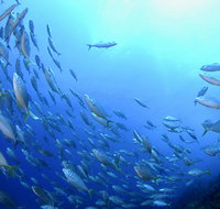 Cape Byron Marine Park - Stayed