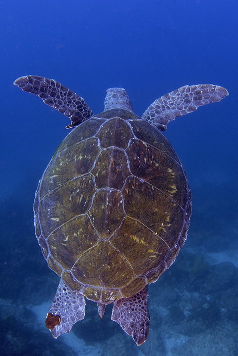 Cape Byron Marine Park - Stayed 3