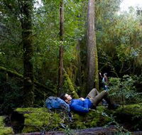 The Tarkine Drive - Stayed