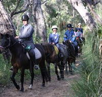 Mirravale Horse Riding School - Stayed